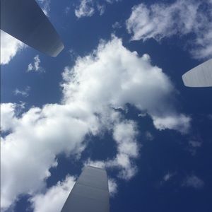 Meet your Posher, Callie